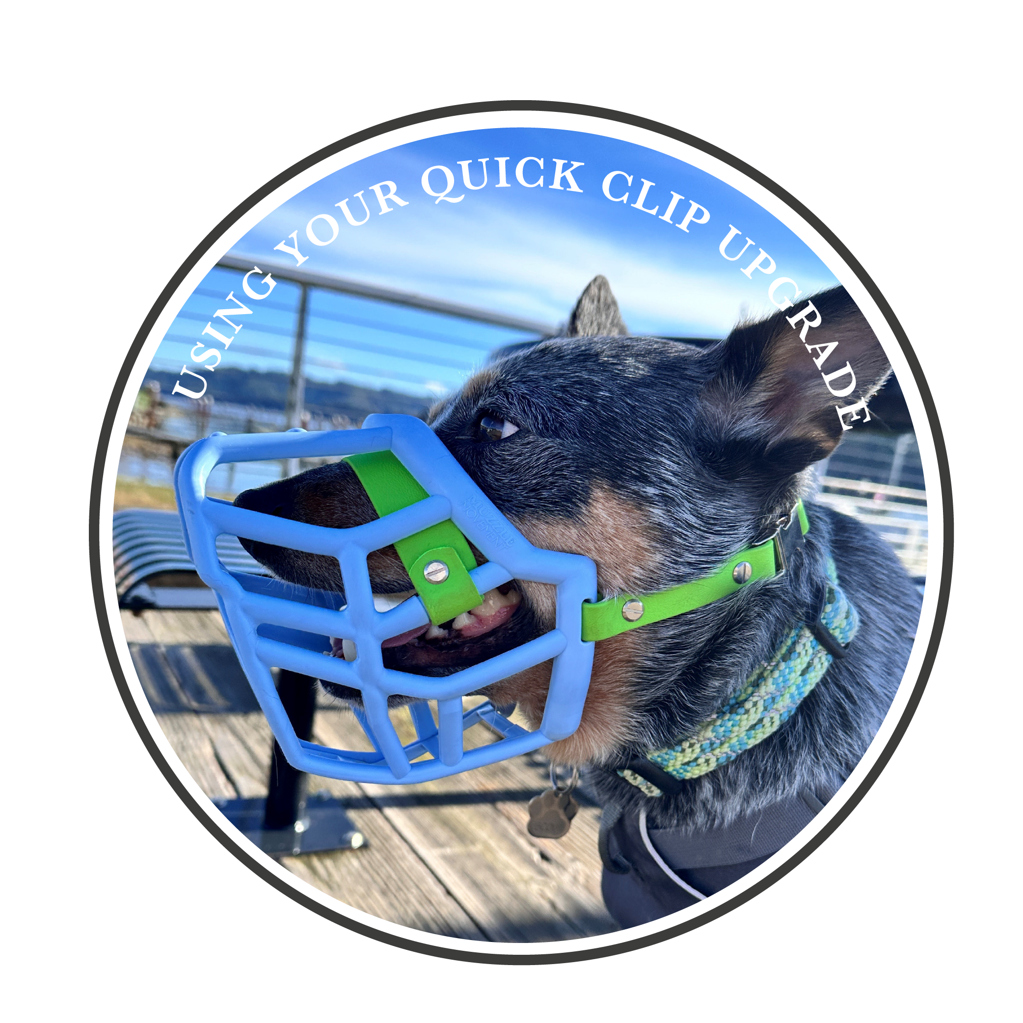 Using your quick clip upgrade