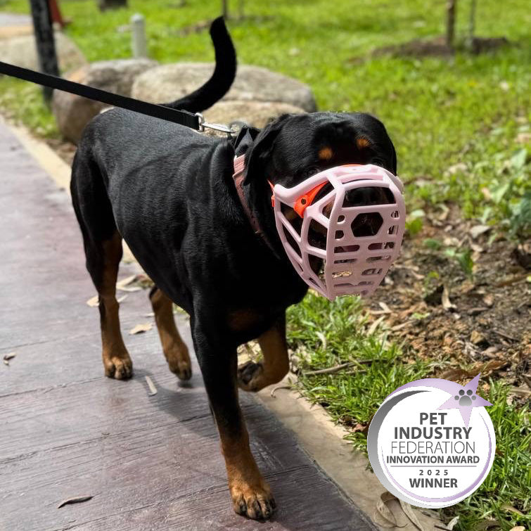 Size Mitzy Dog Muzzle Made to order muzzle with colour