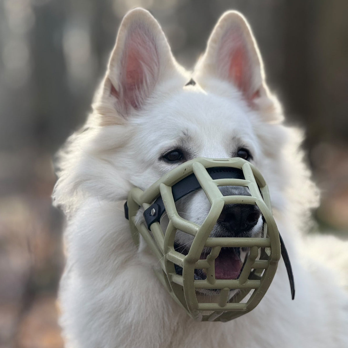 Size Sunny Dog Muzzle- Made to order muzzle with colour customisation