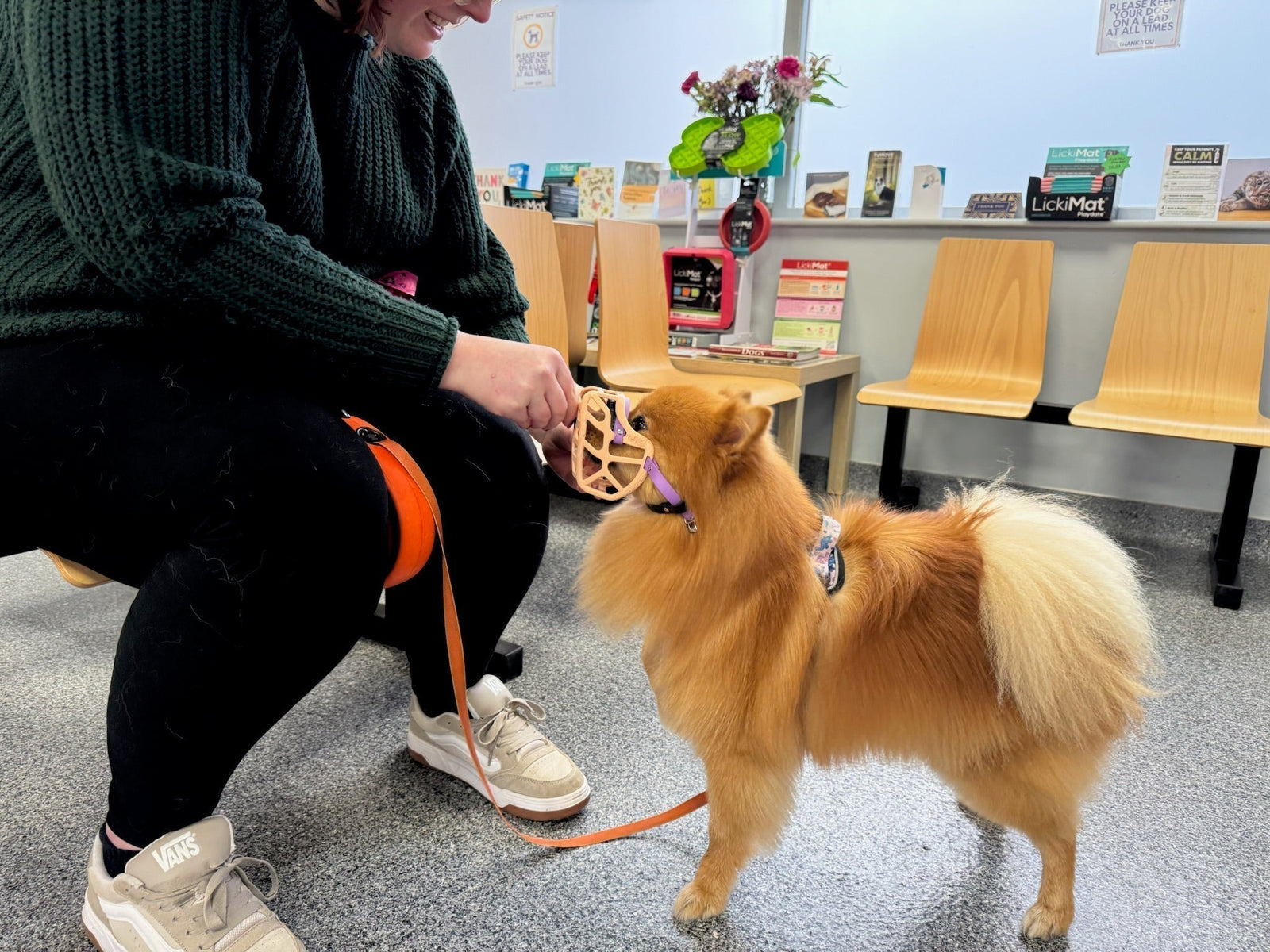 Small Dogs, Big Feelings: Why Muzzle Training Matters at the Vets