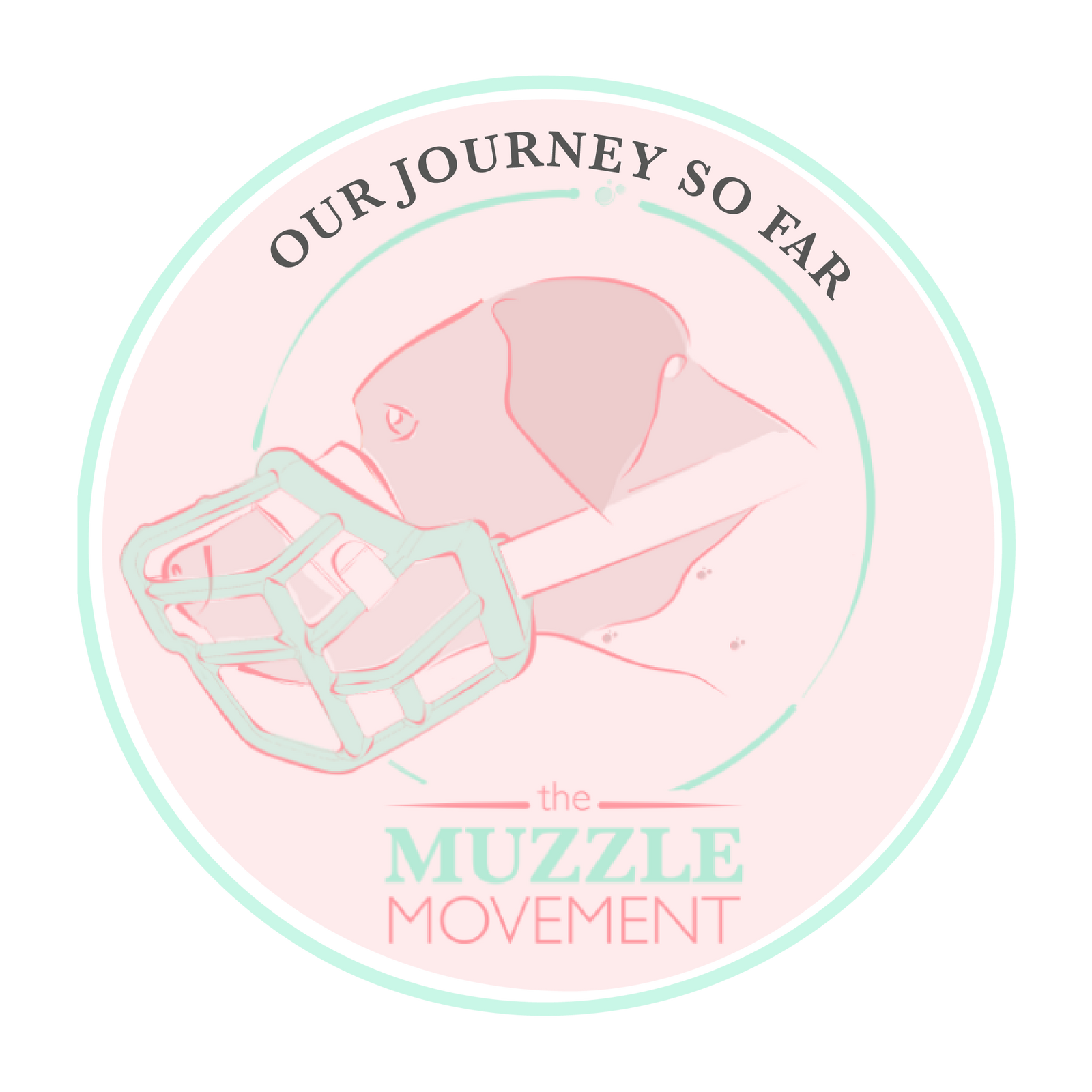 Our Journey so far