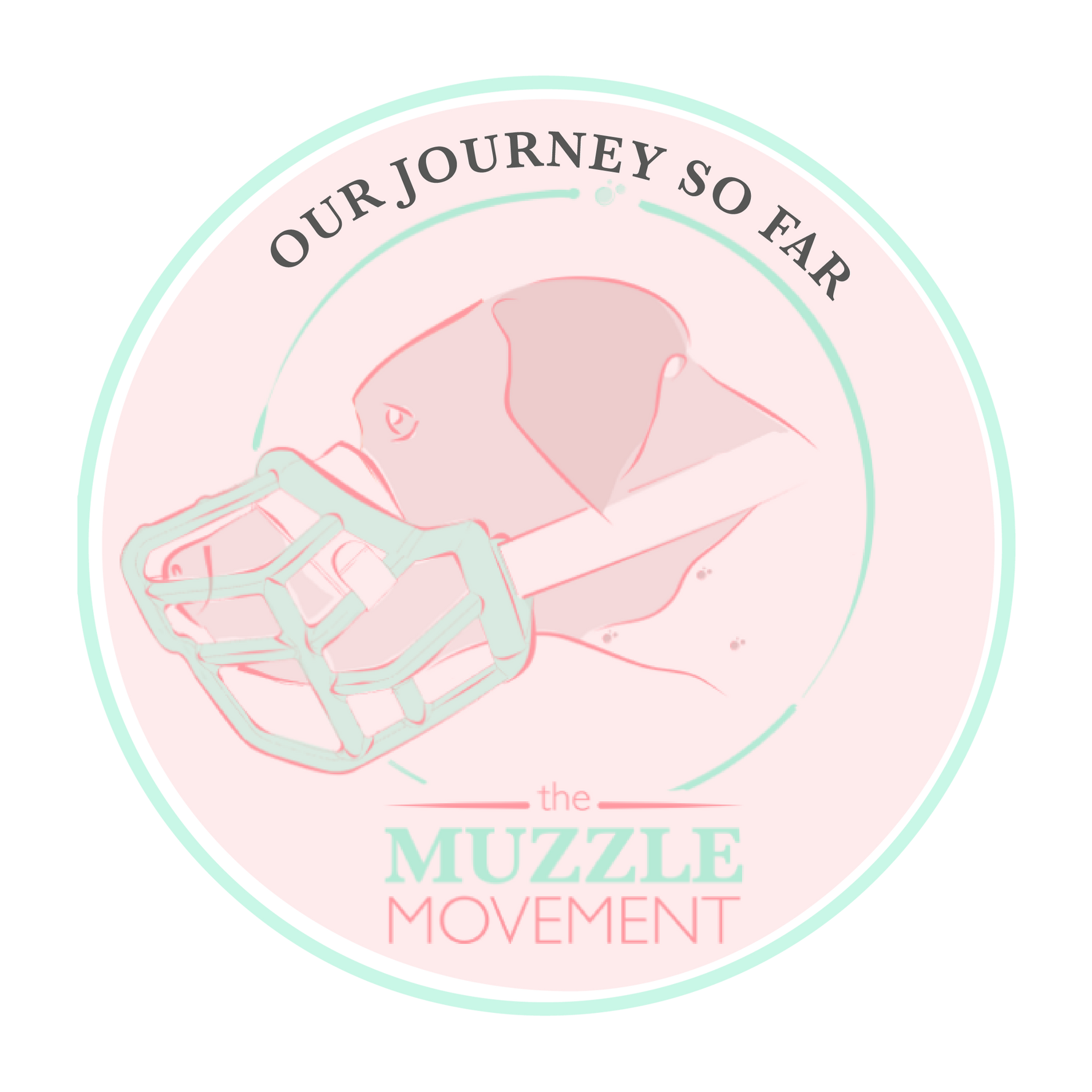 Our Journey so far