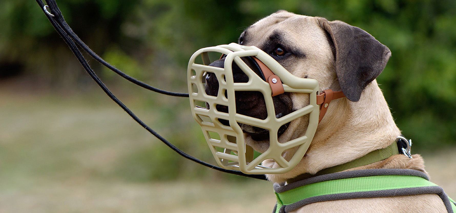 Why Our Dog Muzzles Are Different