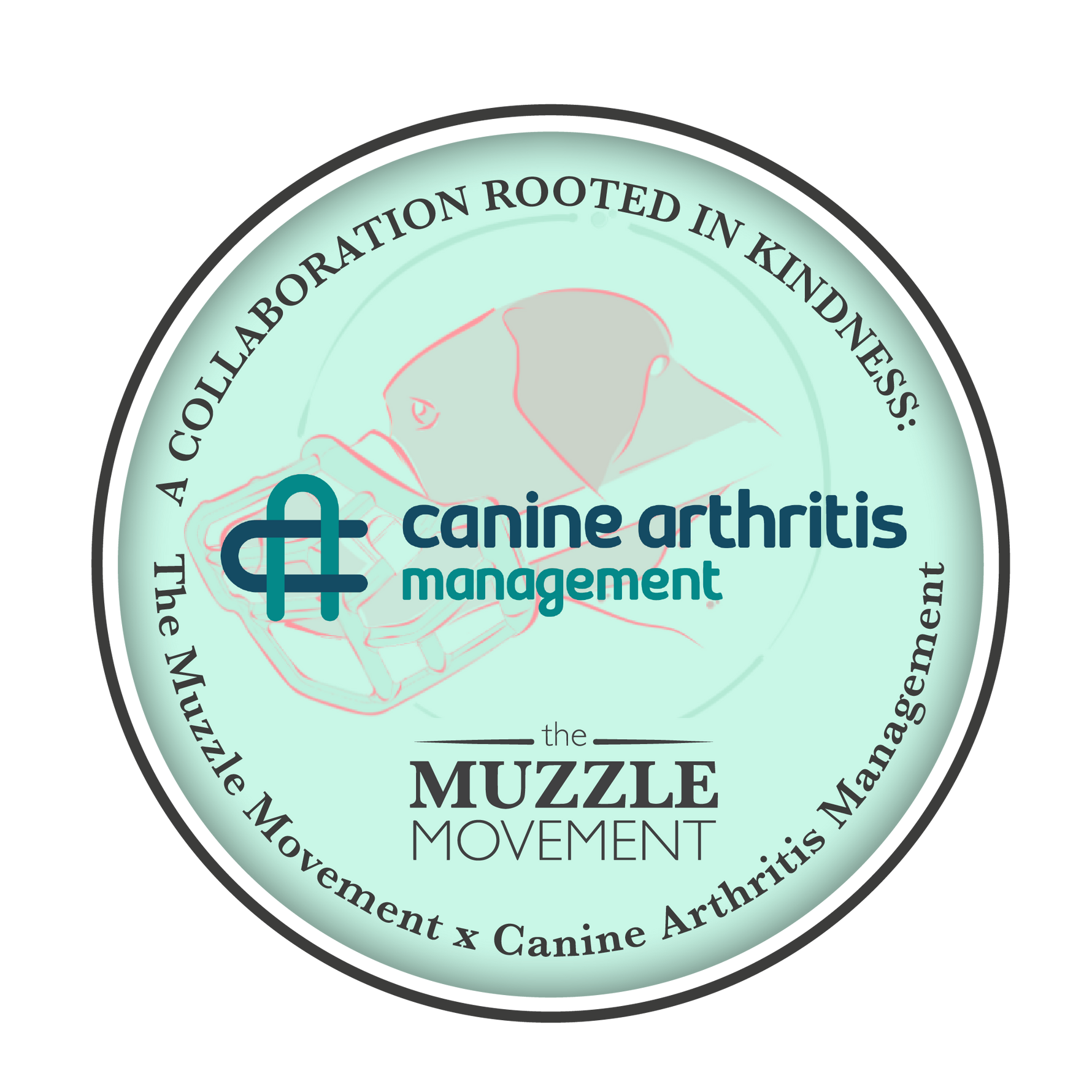 A Collaboration Rooted in Kindness: The Muzzle Movement x Canine Arthritis Management