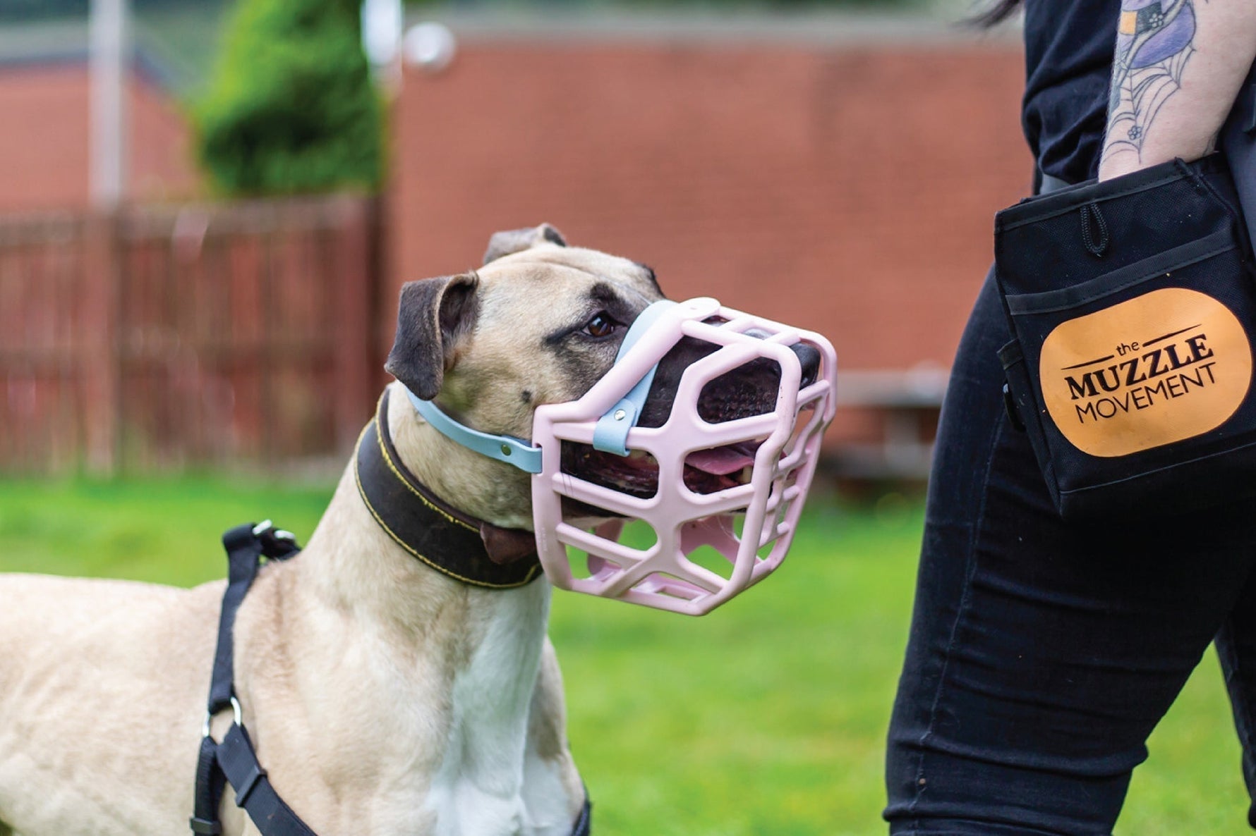 Educational Sessions: A Visit to Rain Rescue, Rotherham