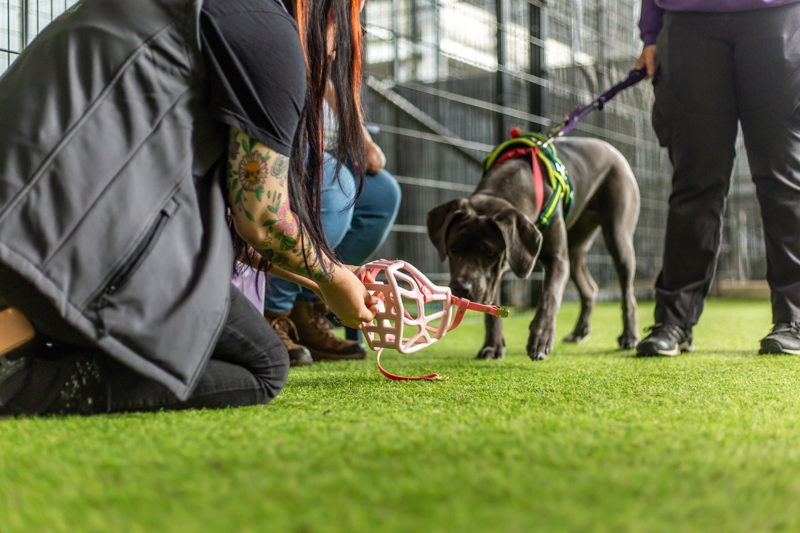 Clara and The Team: Spreading the Joy This Christmas