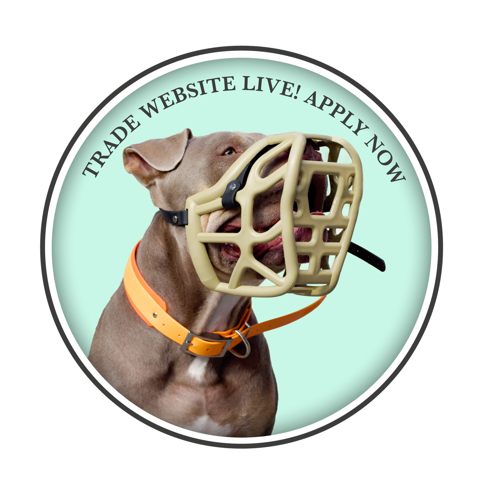 The Muzzle Movement Trade Website is Now Live – Apply to Become a Stockist!