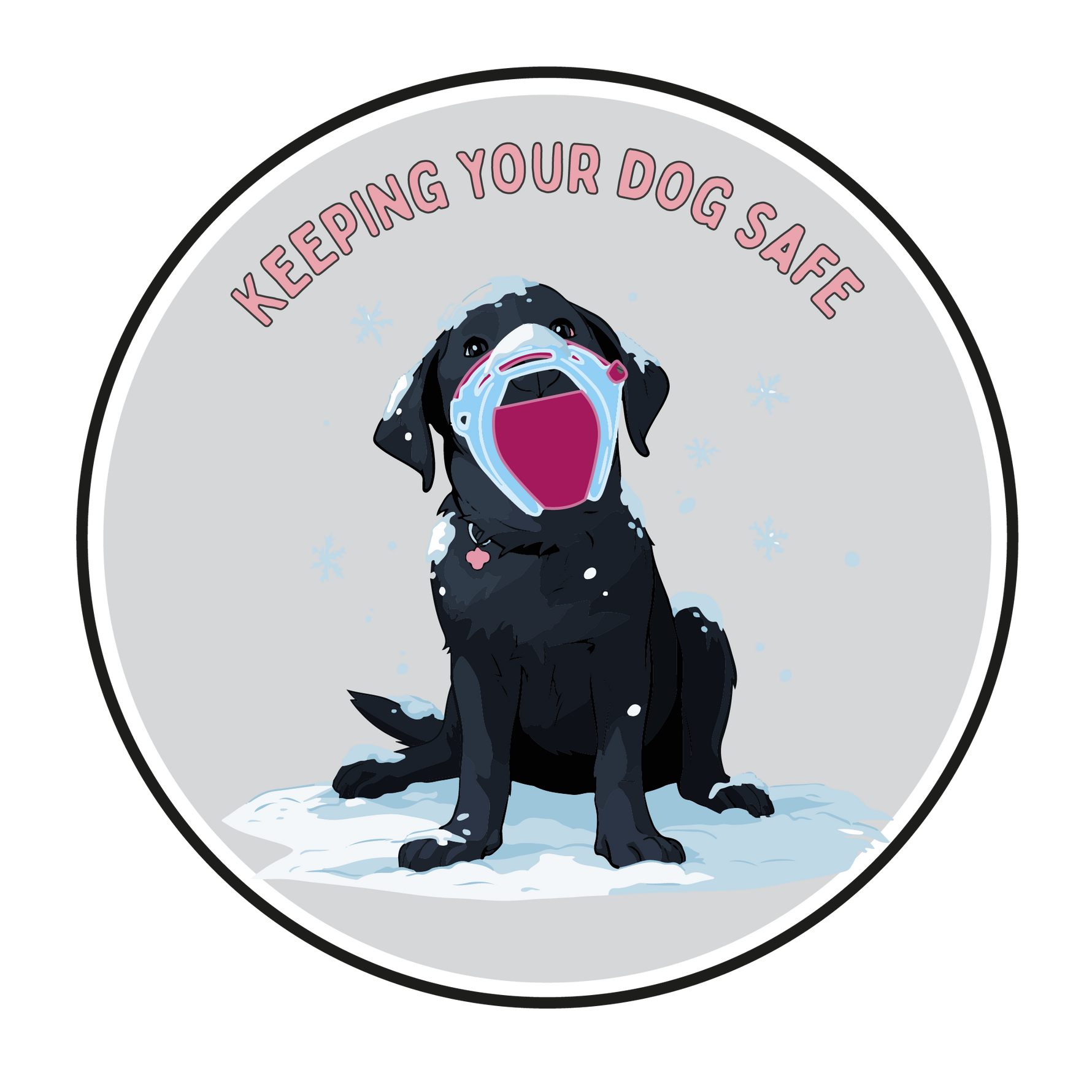 Keeping your dog safe at Christmas