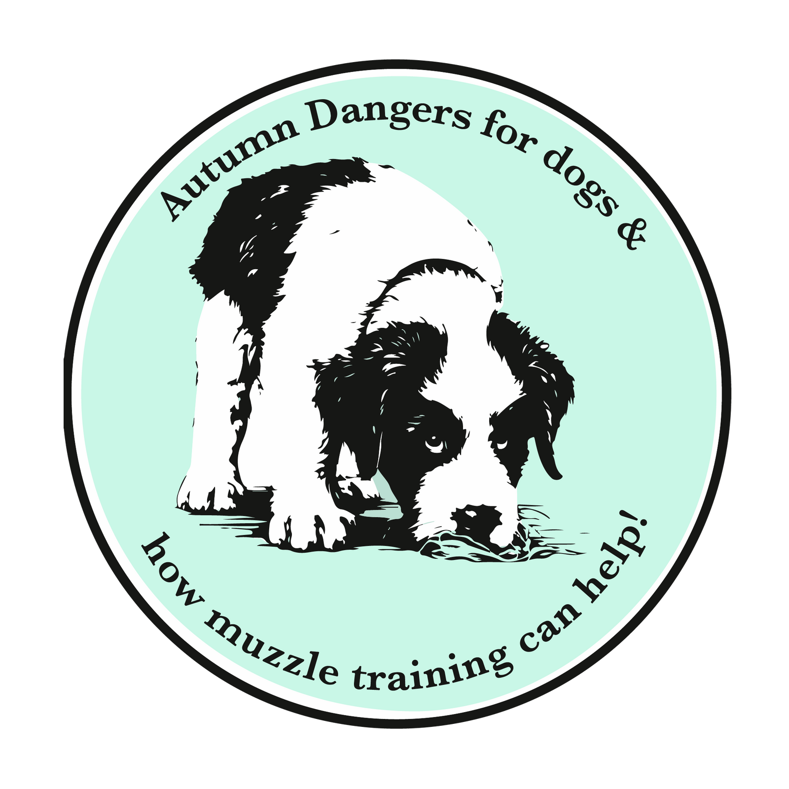 Autumn Dangers for dogs and how muzzle training can help!
