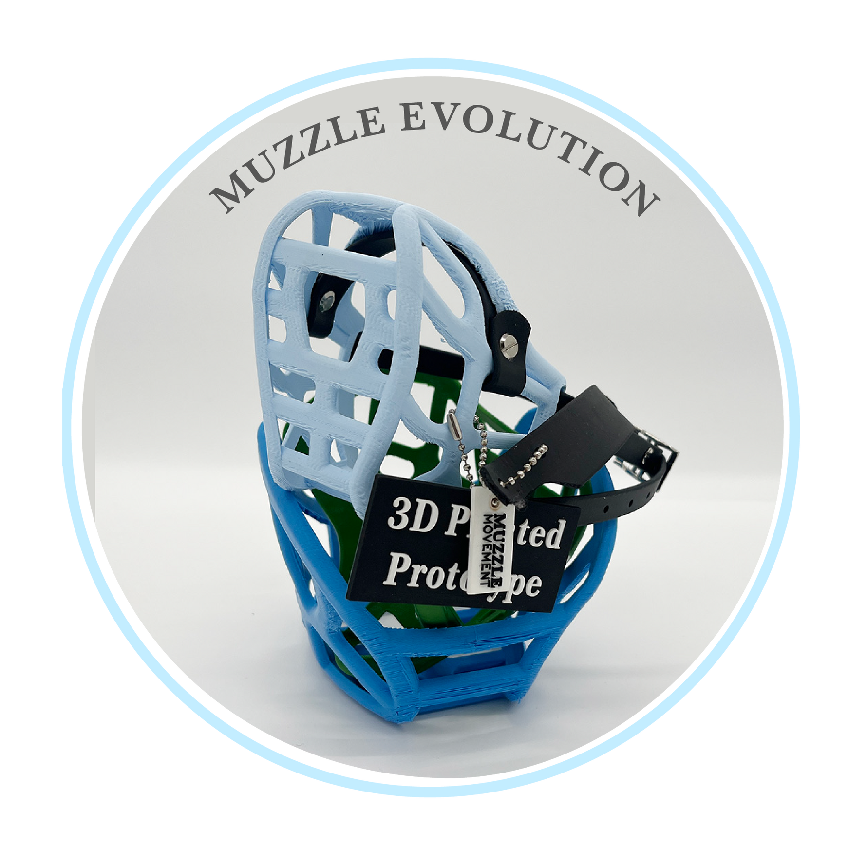 The Muzzle Evolution