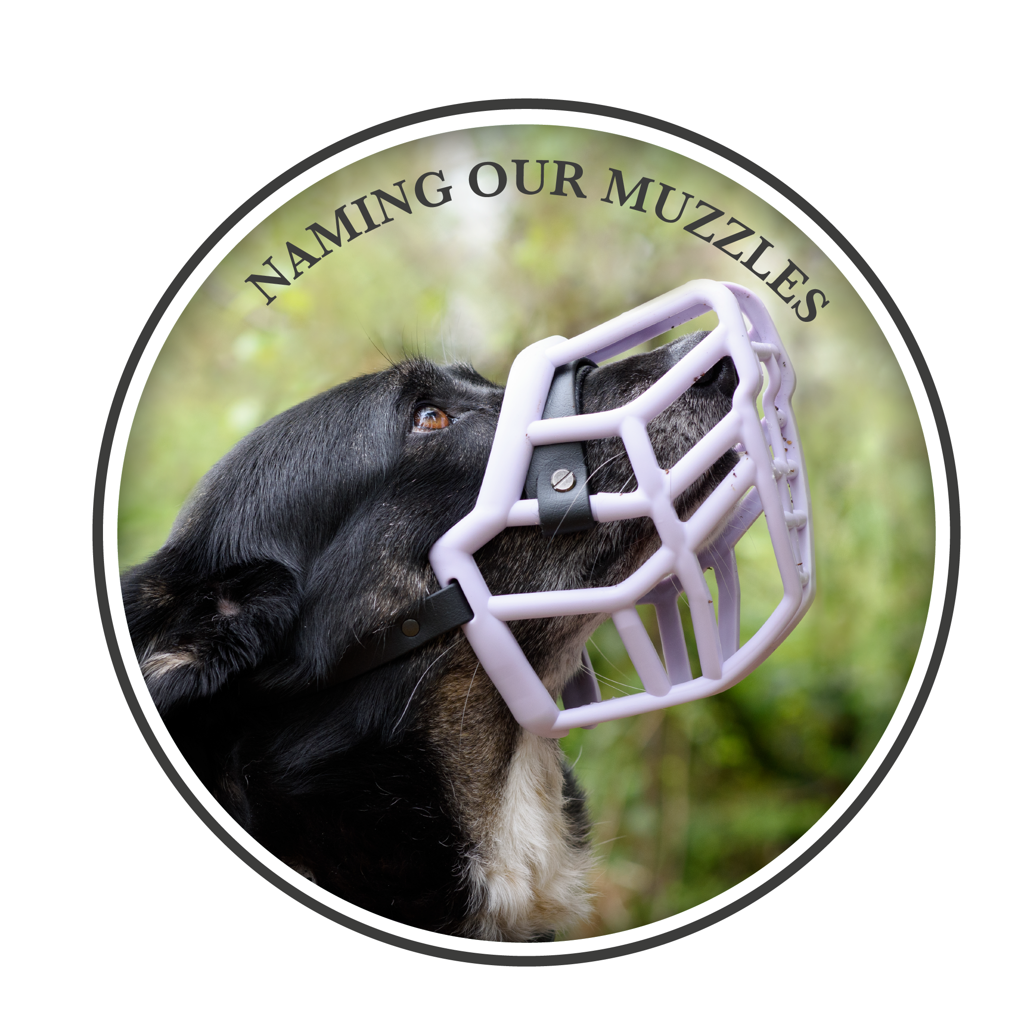 Naming our muzzles