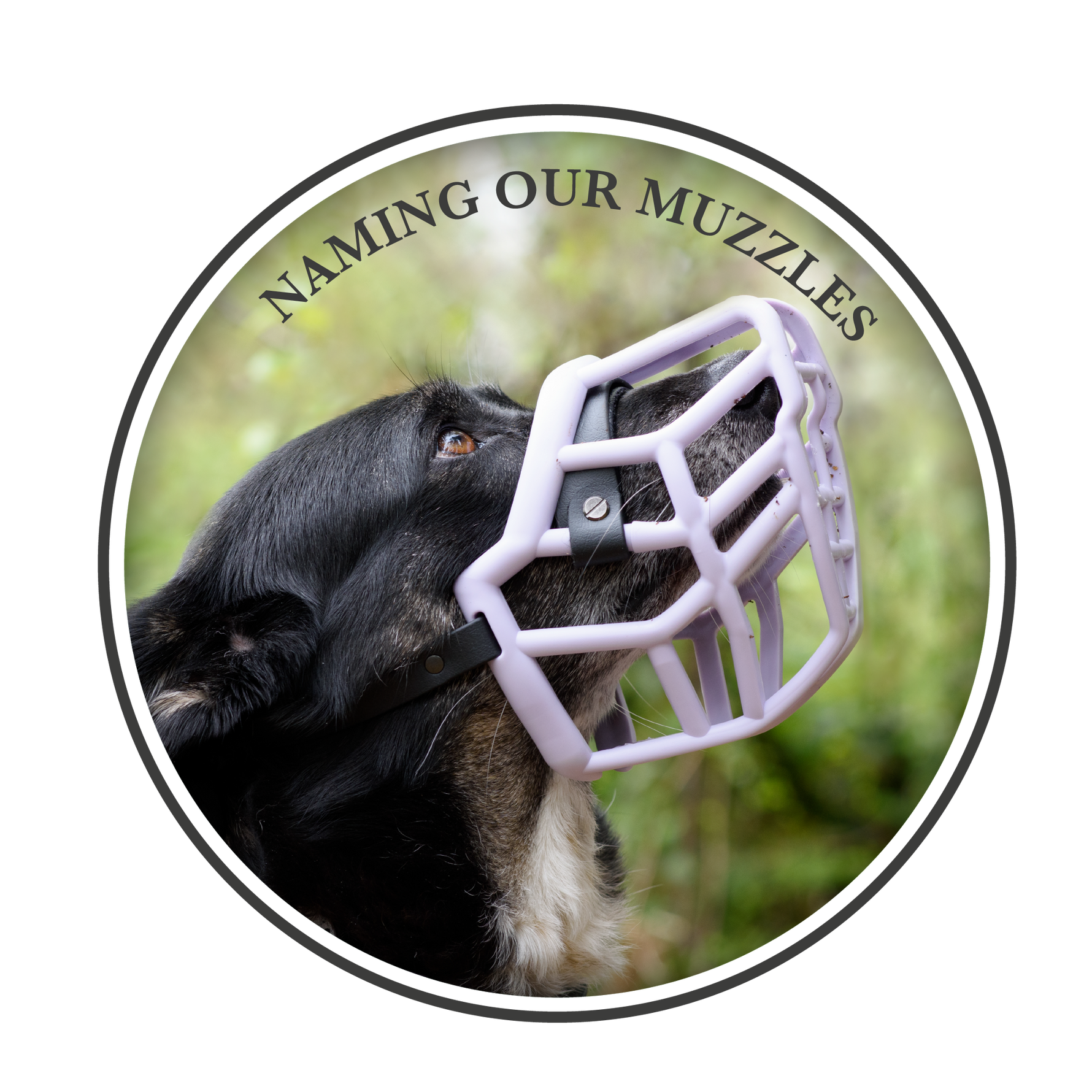 Naming our muzzles