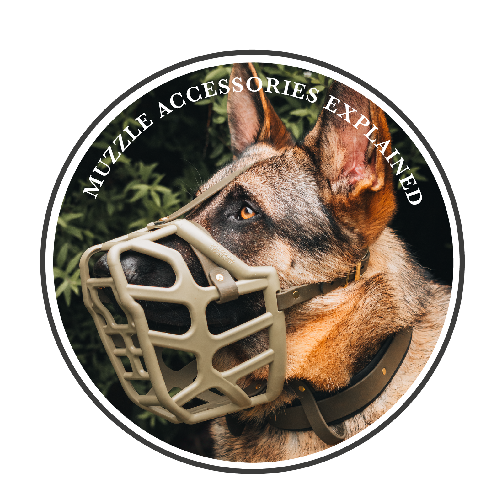 Muzzle accessories explained!