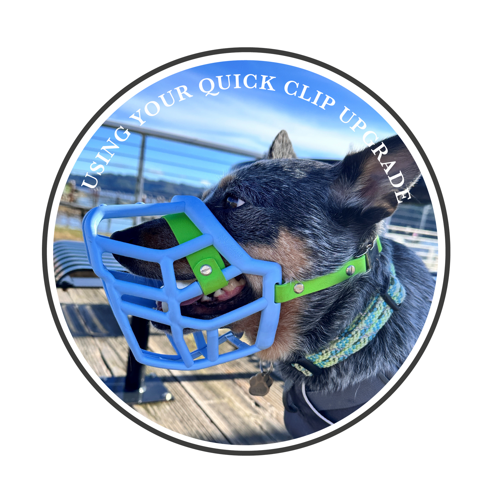 Using your quick clip upgrade