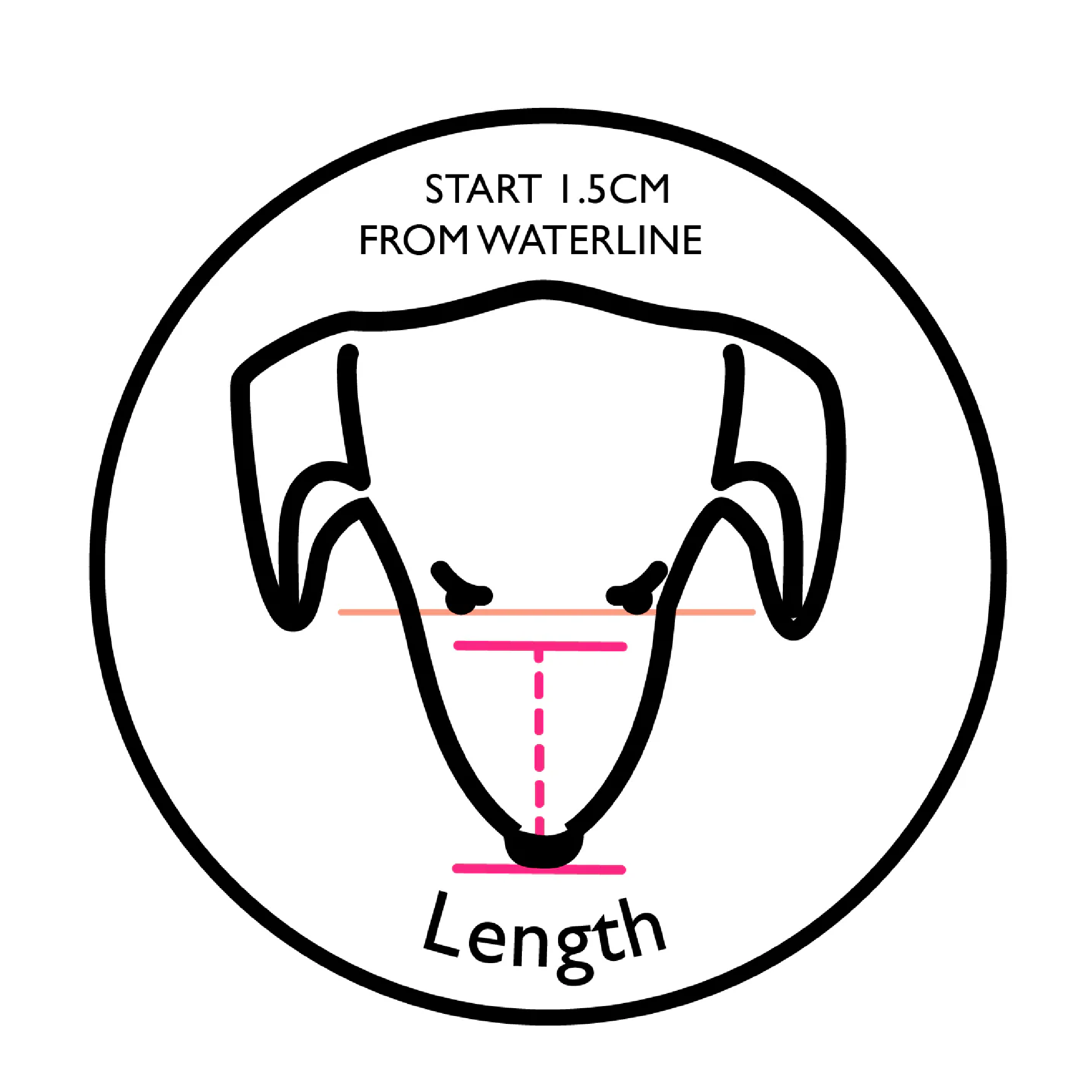 How to measure your dog for a muzzle