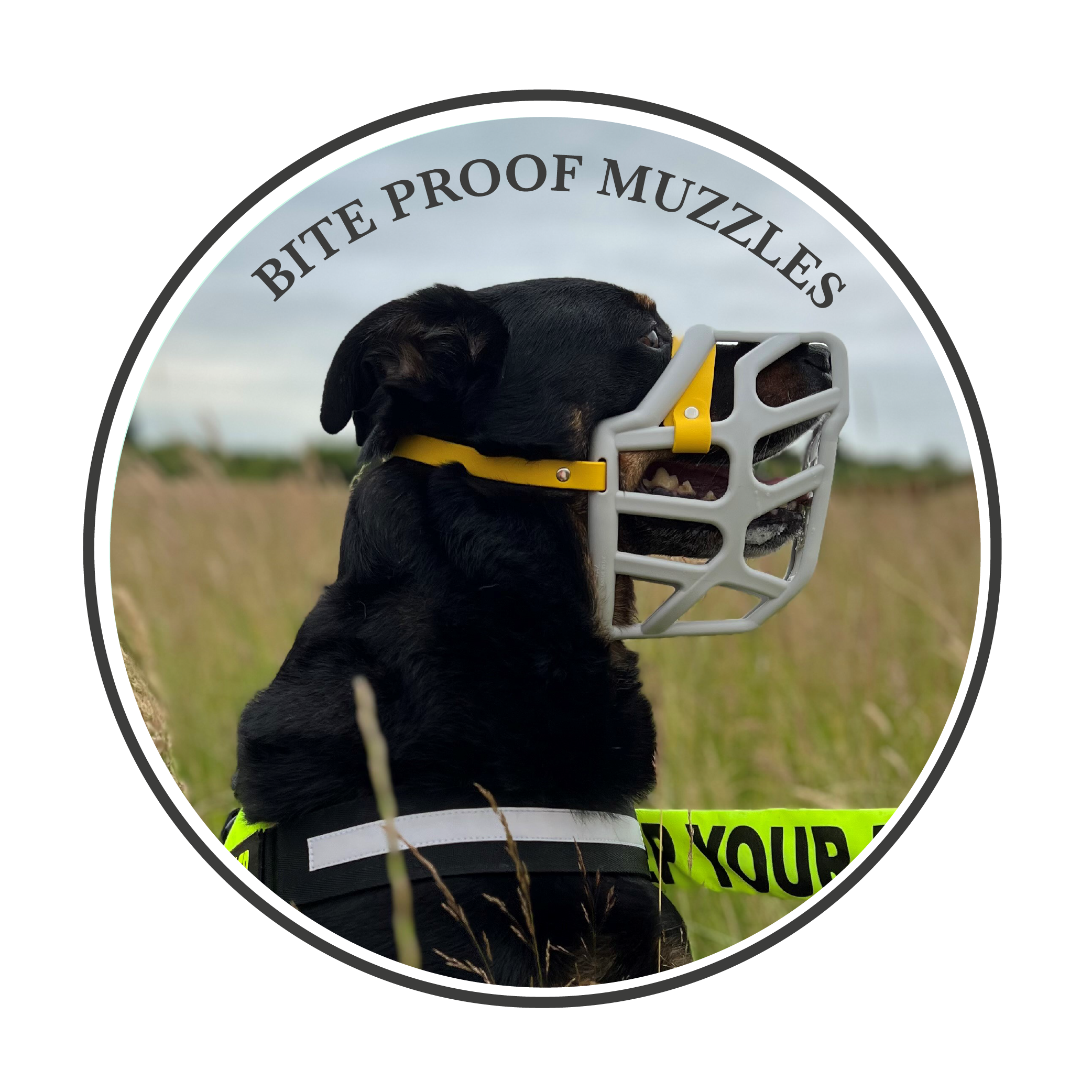 Bite proof muzzles? Truth or Myth?