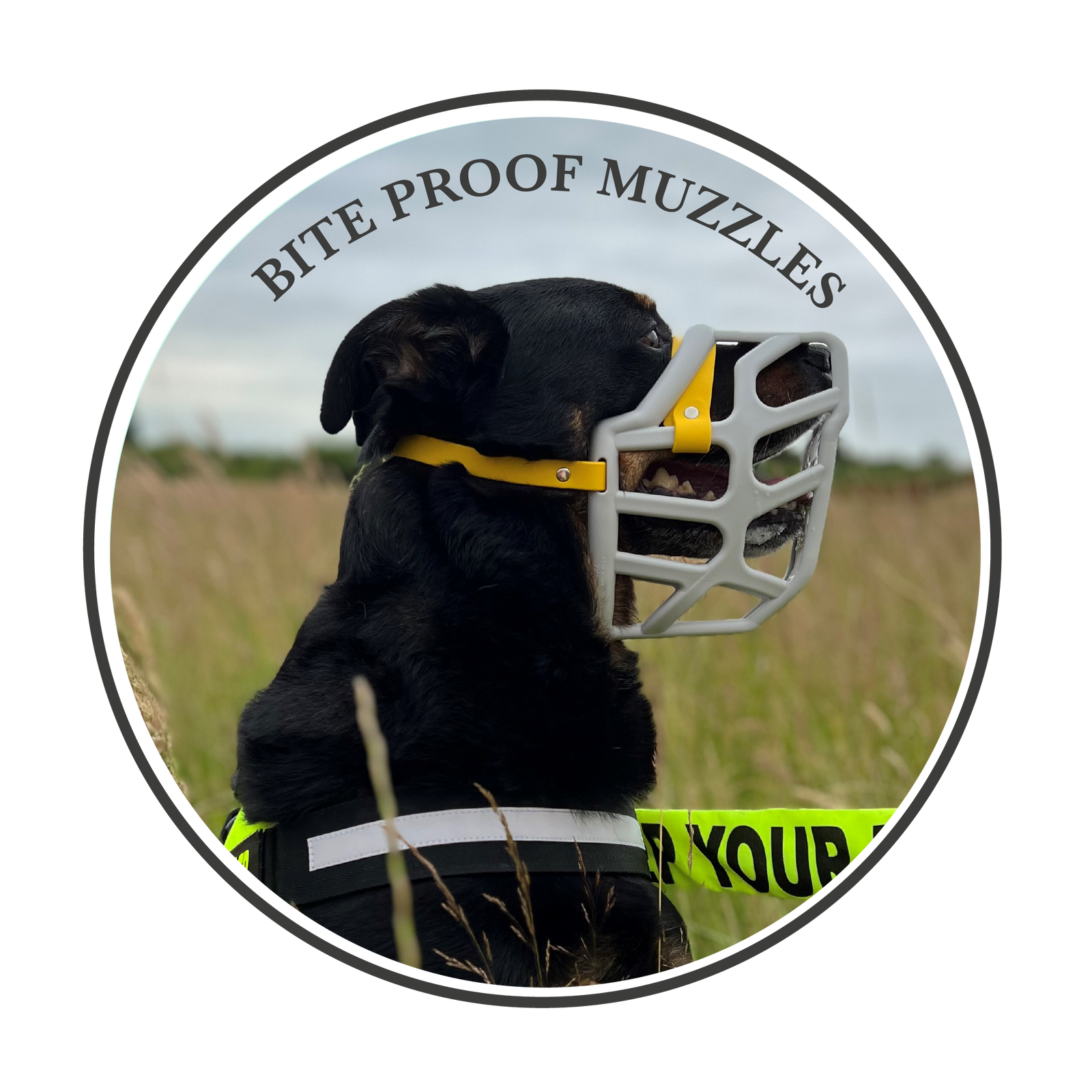 Bite proof muzzles? Truth or Myth?