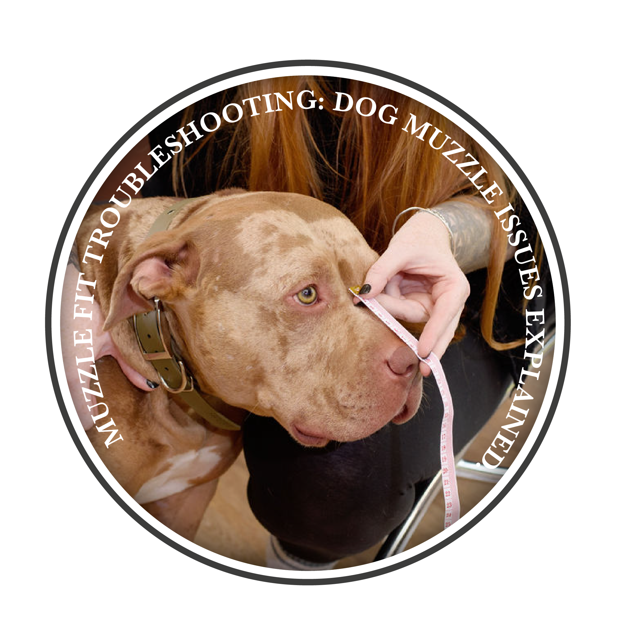 Dog Muzzle Fit Trouble Shooting