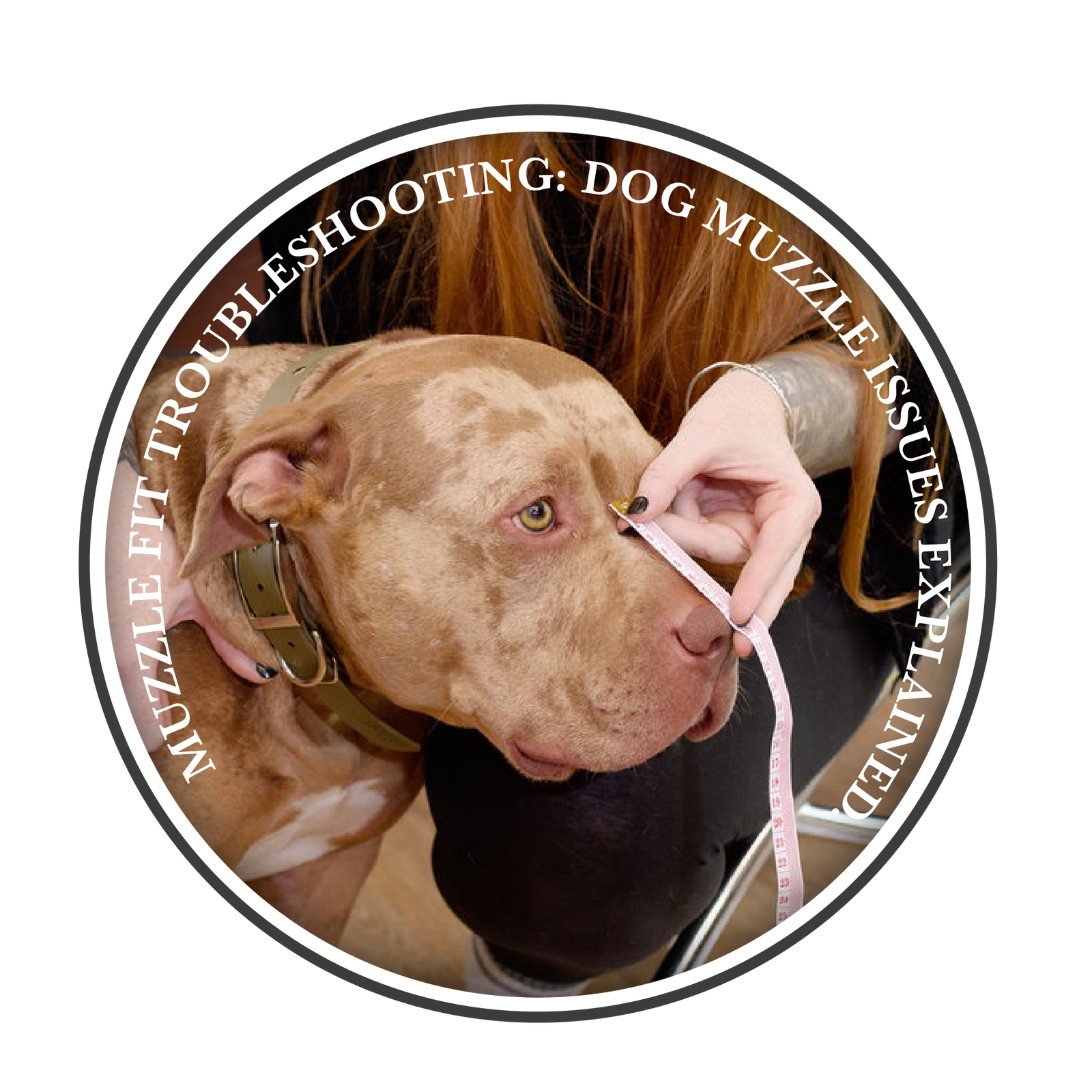 Dog Muzzle Fit Trouble Shooting