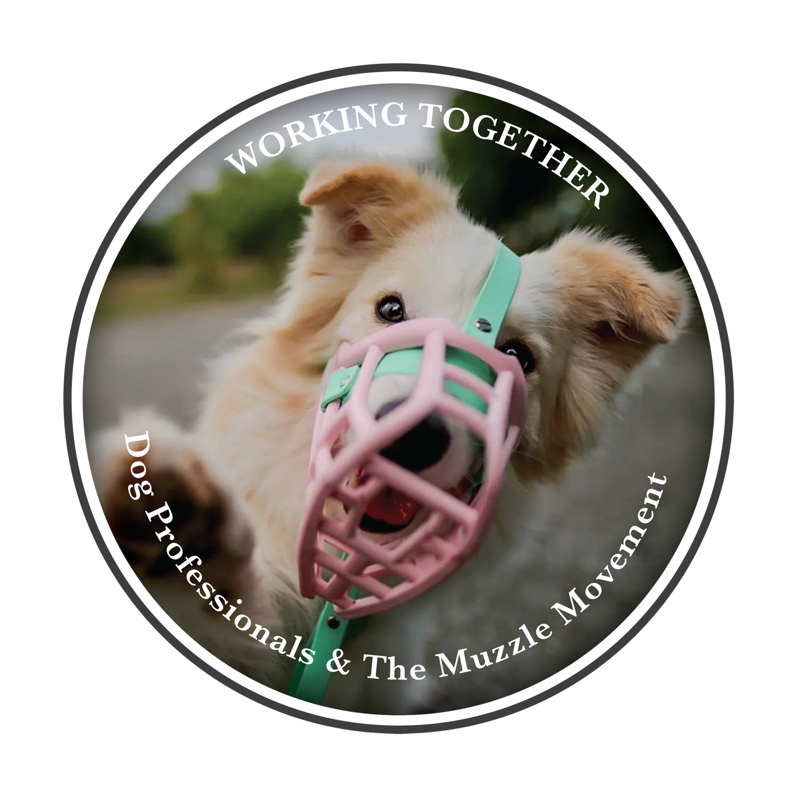 Working Together – Dog Professionals and The Muzzle Movement
