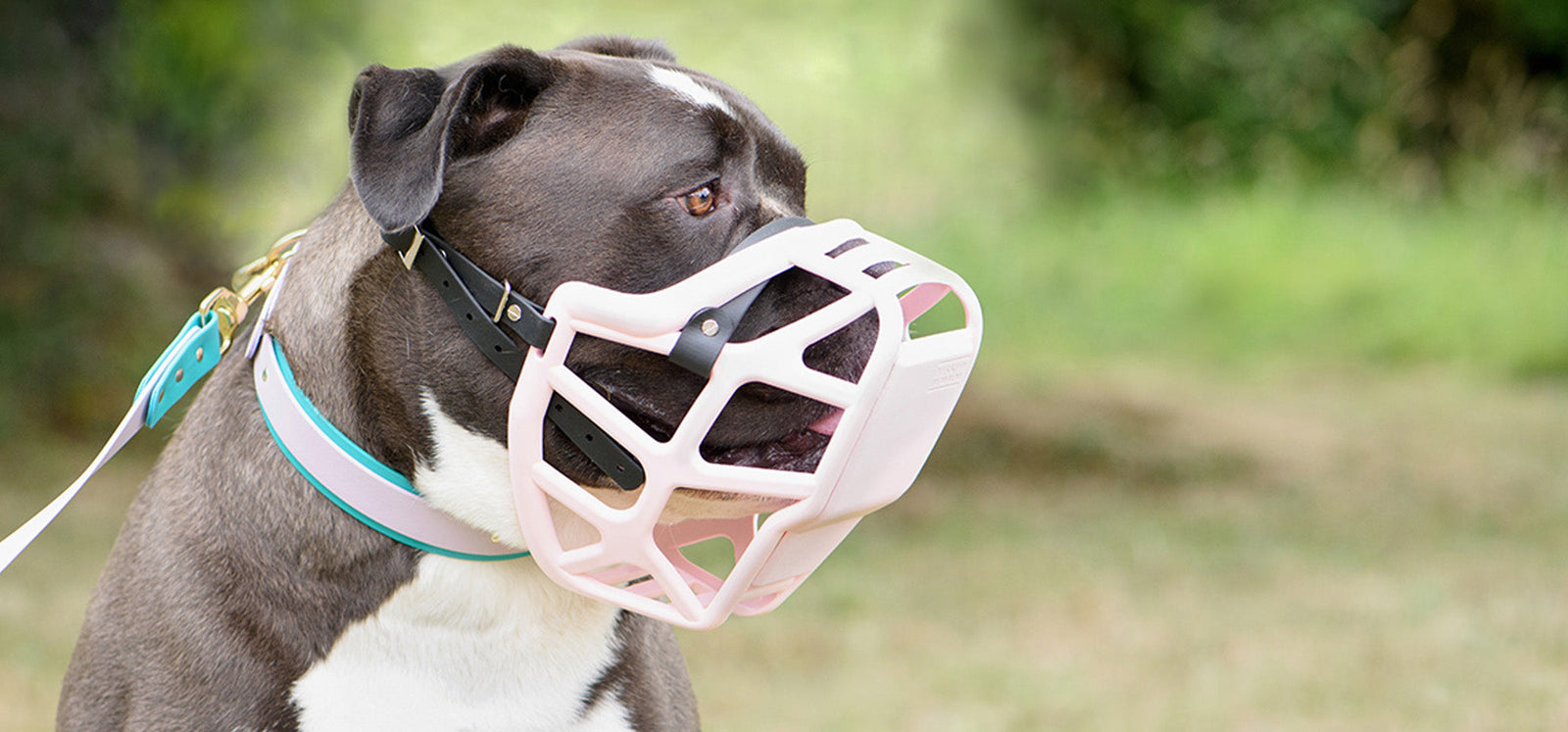 All you need to know about what makes a well fit muzzle!