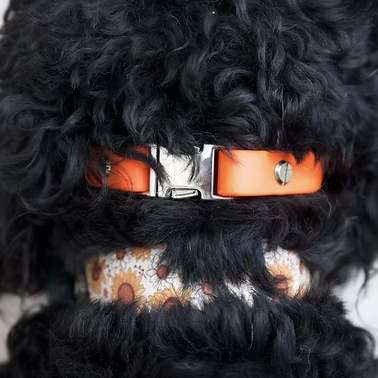 Hardware Upgrades for Muzzles
