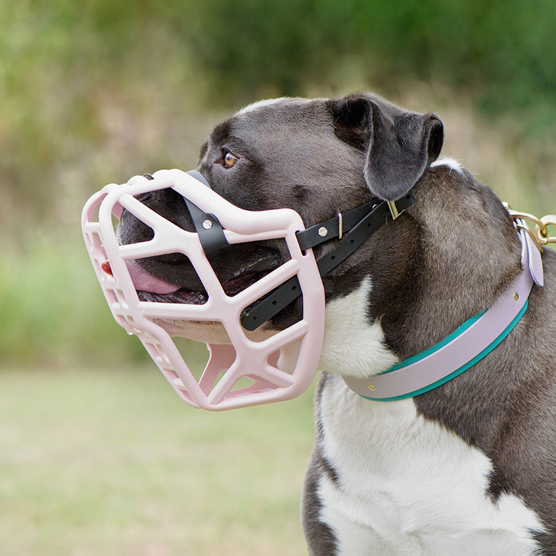 Wholesale Muzzles