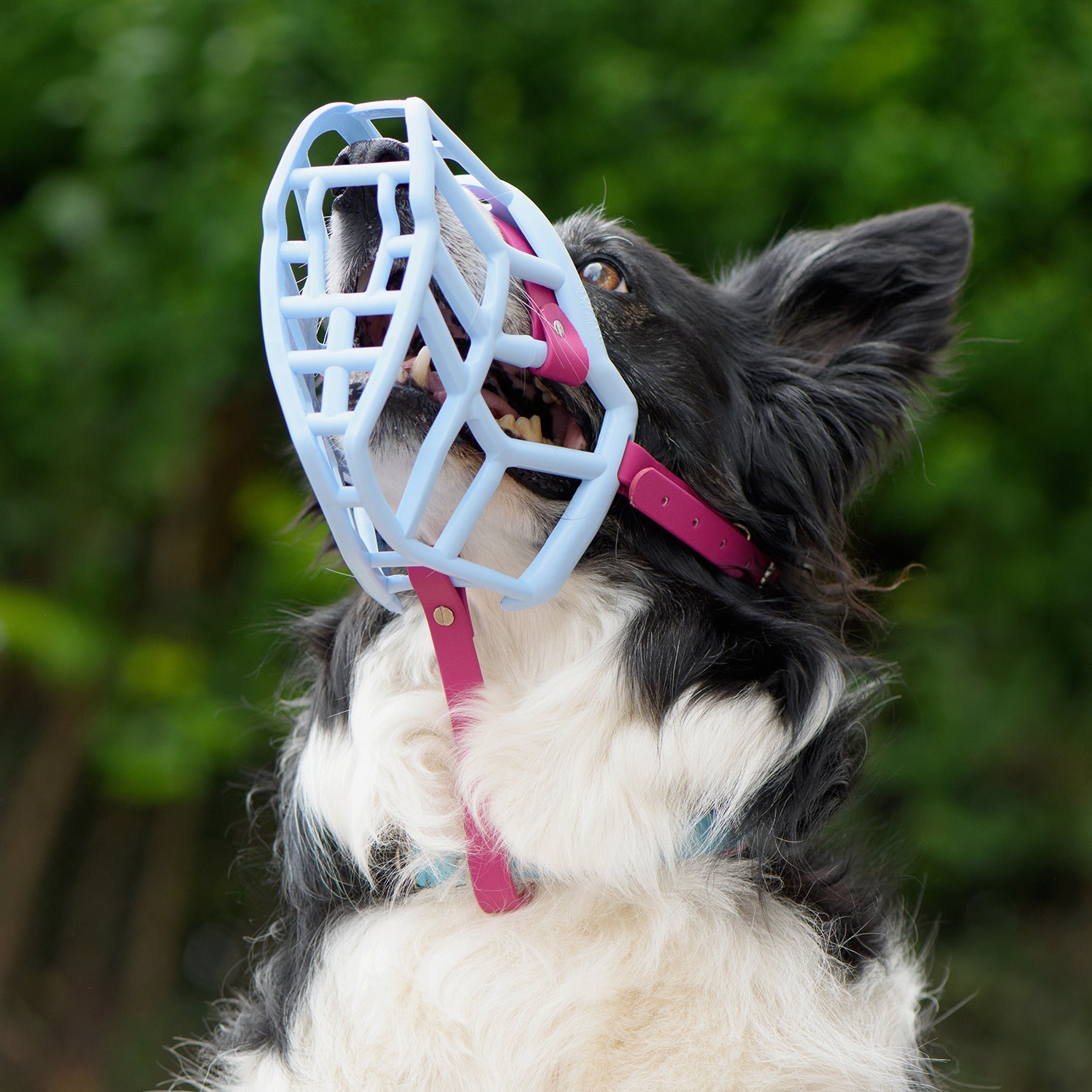 Additional Safety Strapping for Muzzles