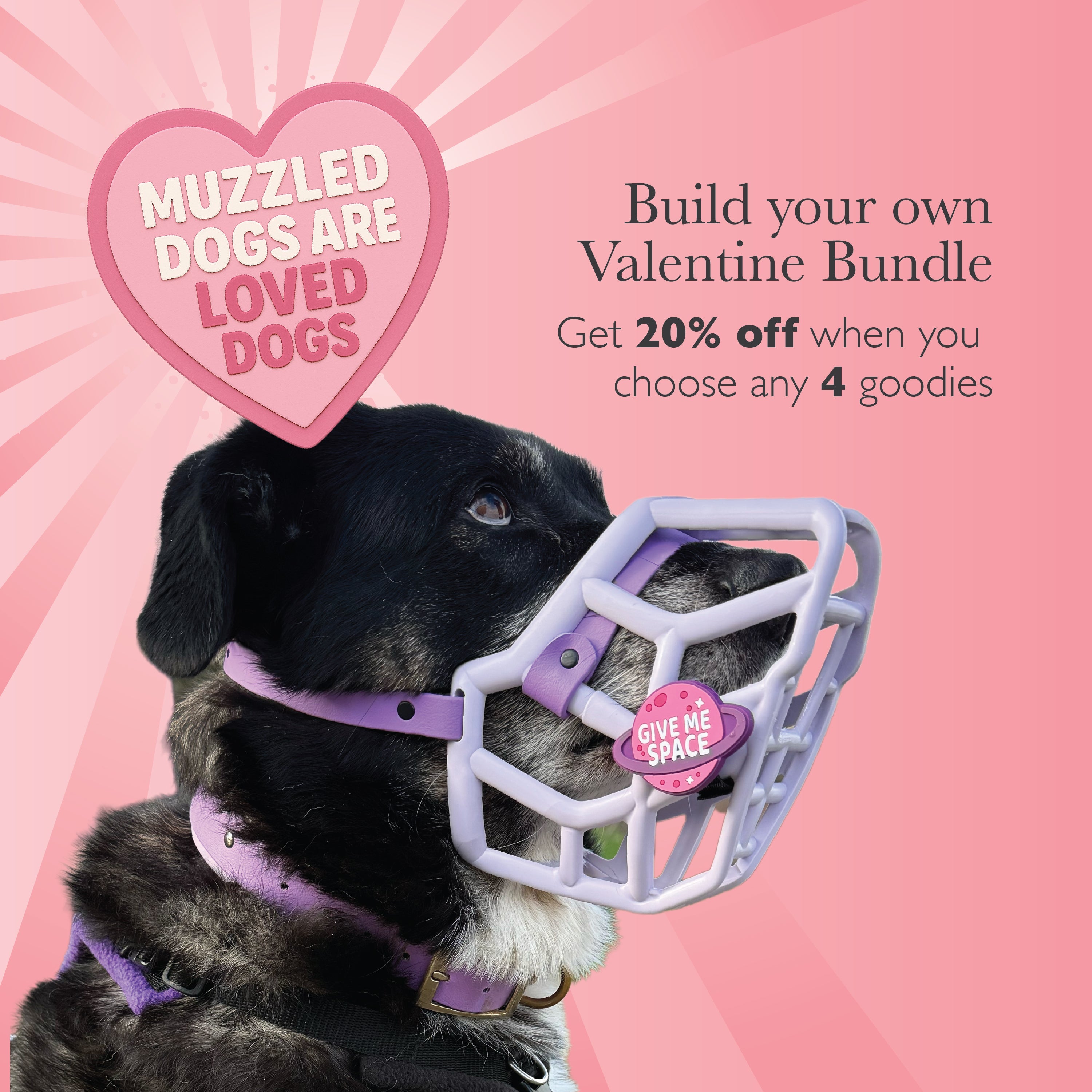 Valentines Day bundle