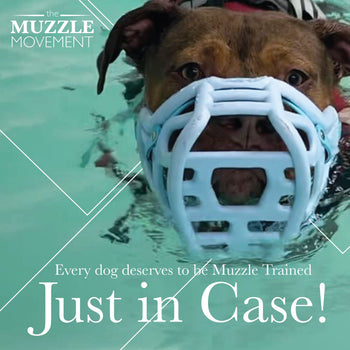 Dog wearing a muzzle swimming with promotional text about muzzling training.