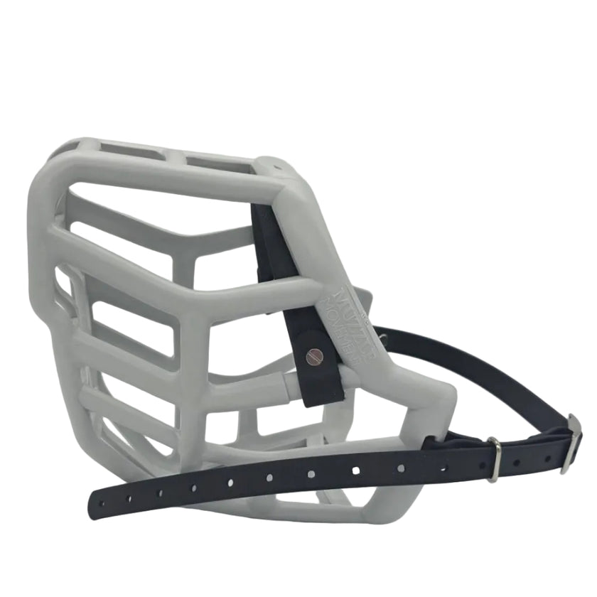 Size Sunny Dog Muzzle - ready to ship