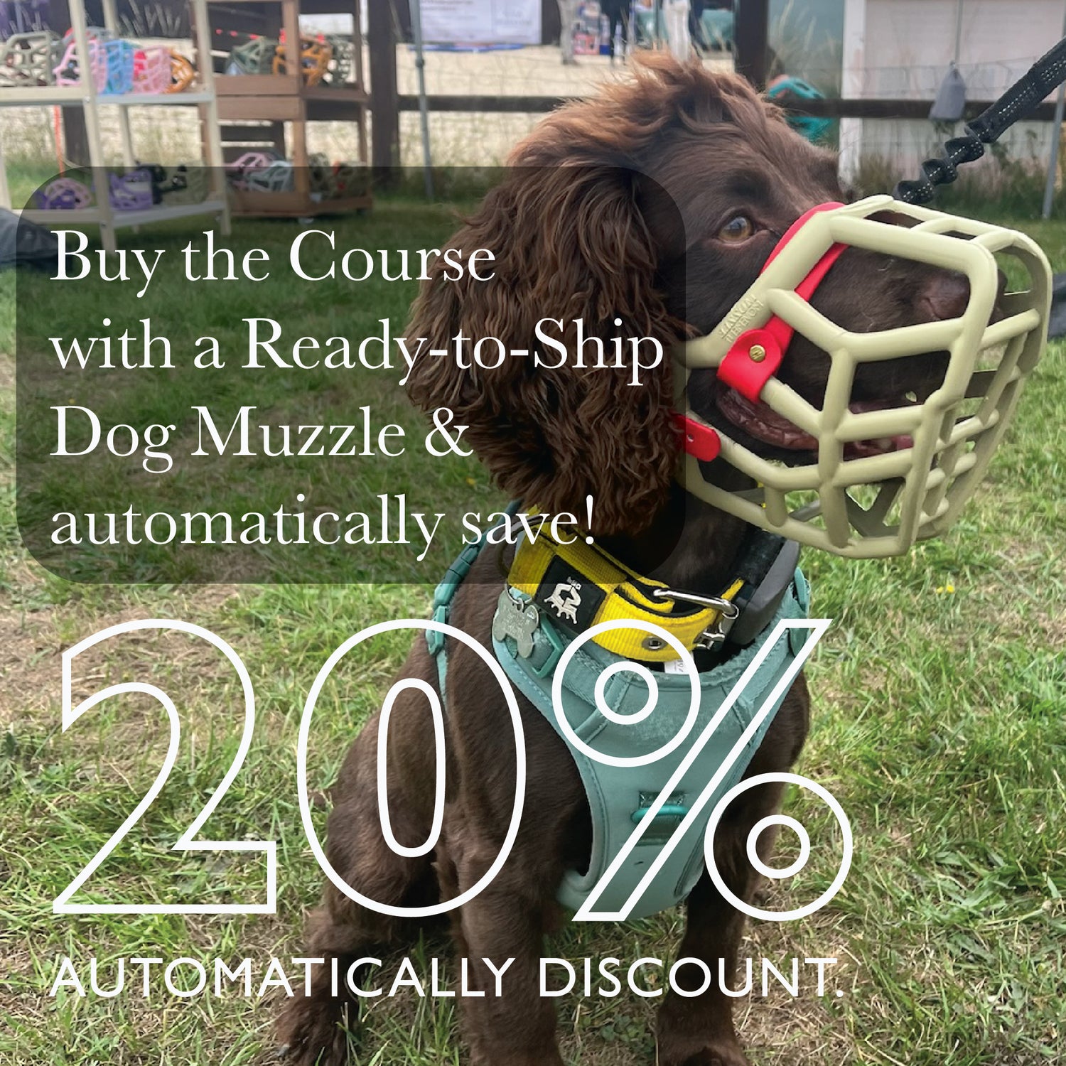 The Complete Dog Muzzle Training Course