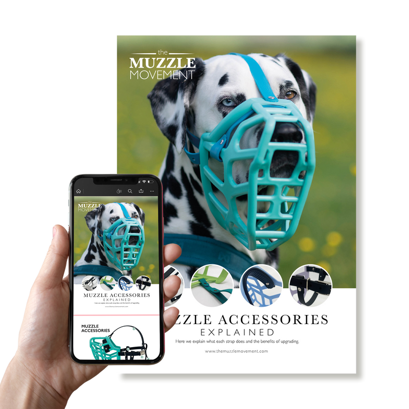 Muzzle Accessories Explained booklet