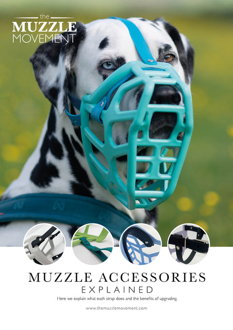 The Muzzle Movement - Muzzle Accessories Explained for Trade A5 leaflet