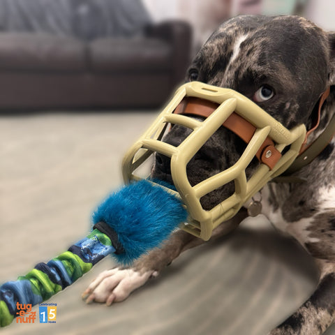 Tug-e-nuff Bright Muzzletastic Tug Toy