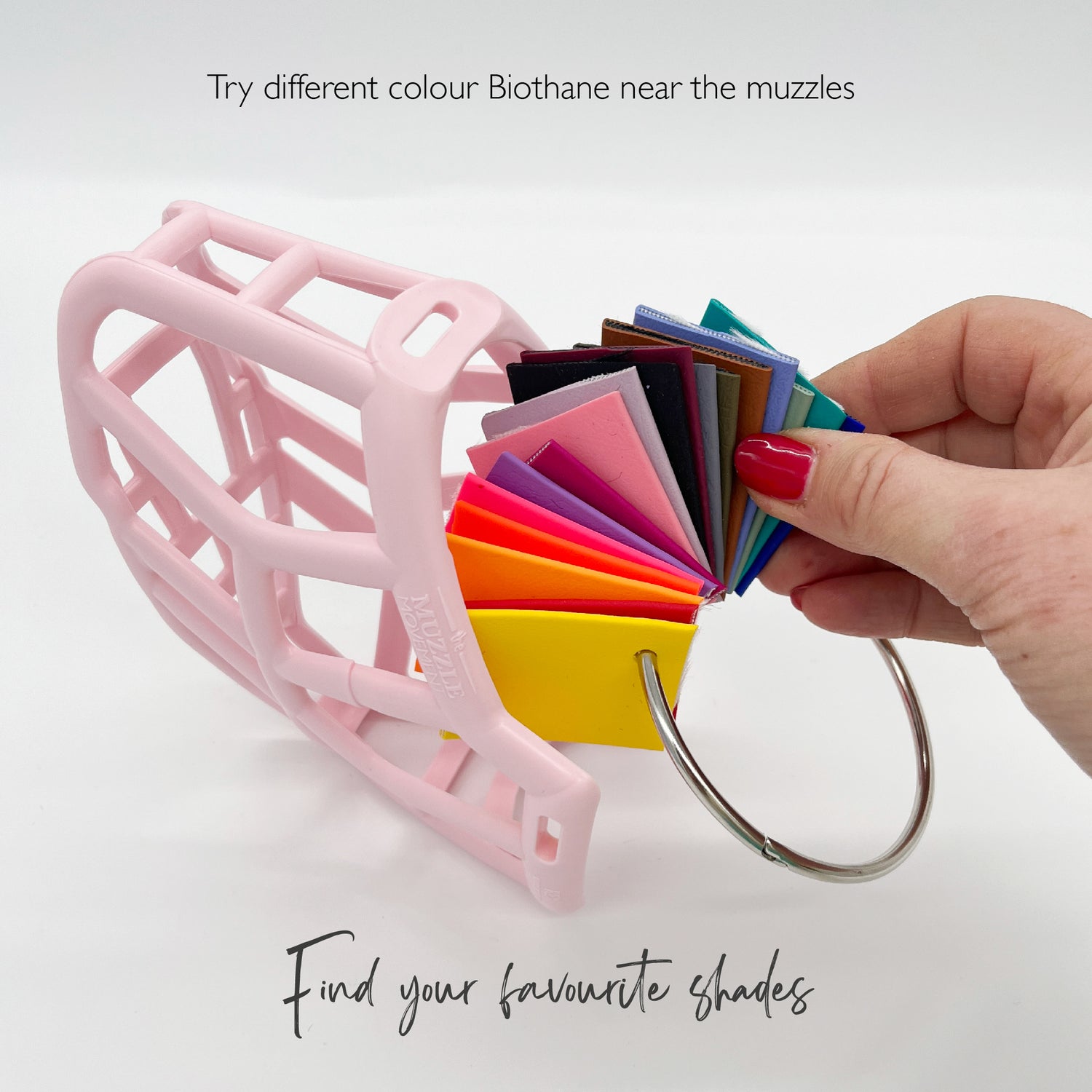 Biothane colour wheel