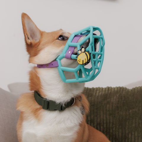 Snooties™ – Muzzle Charm