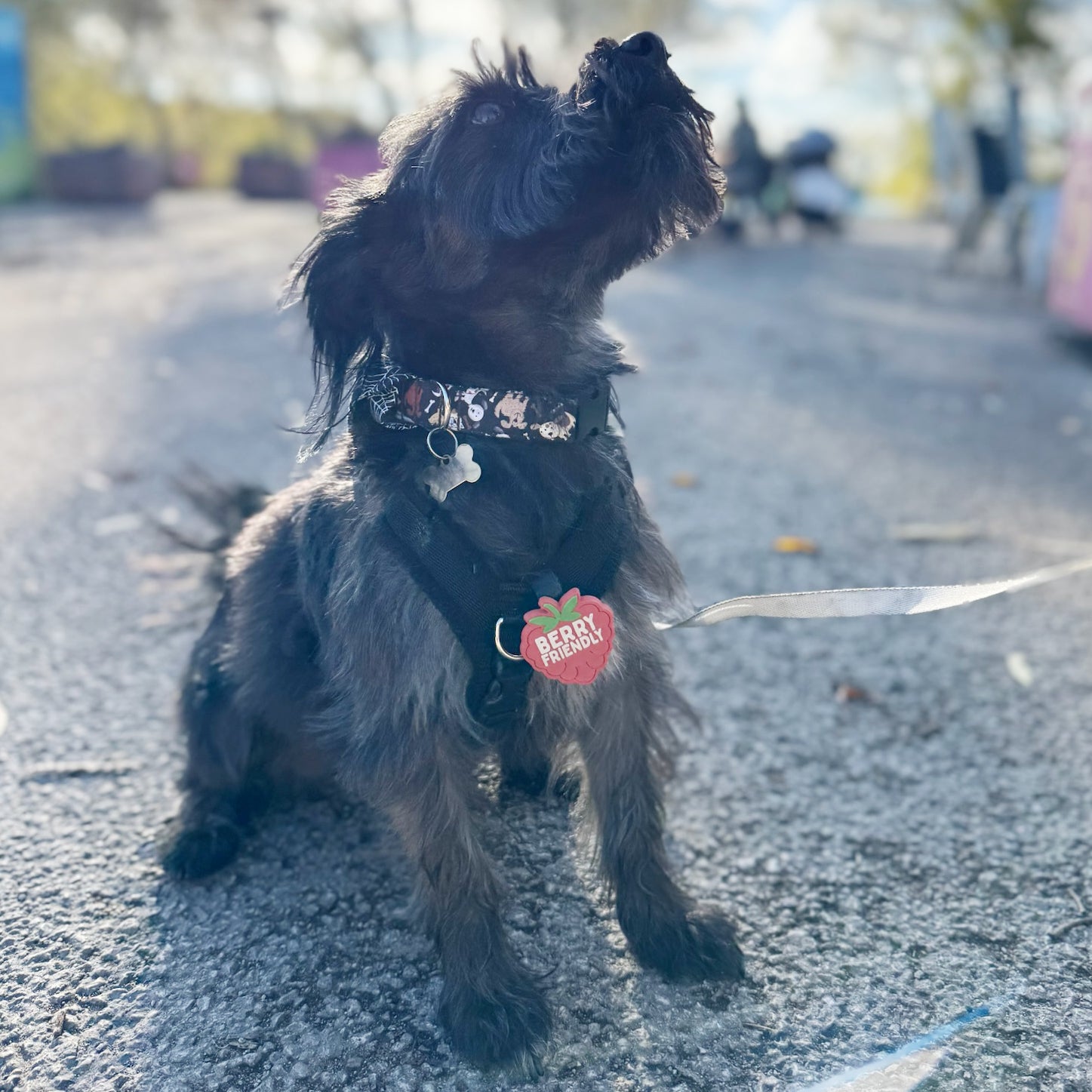Snooties™ –  Berry Friendly Snootie Muzzle Charm