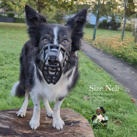 Neli Black Muzzle – Limited Edition Recycled - Ready to Ship