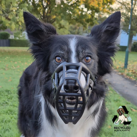 Neli Black Muzzle – Limited Edition Recycled - Ready to Ship