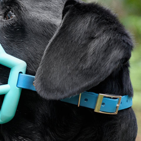 Quick release and Buckle fastening hardware bundle for Trade