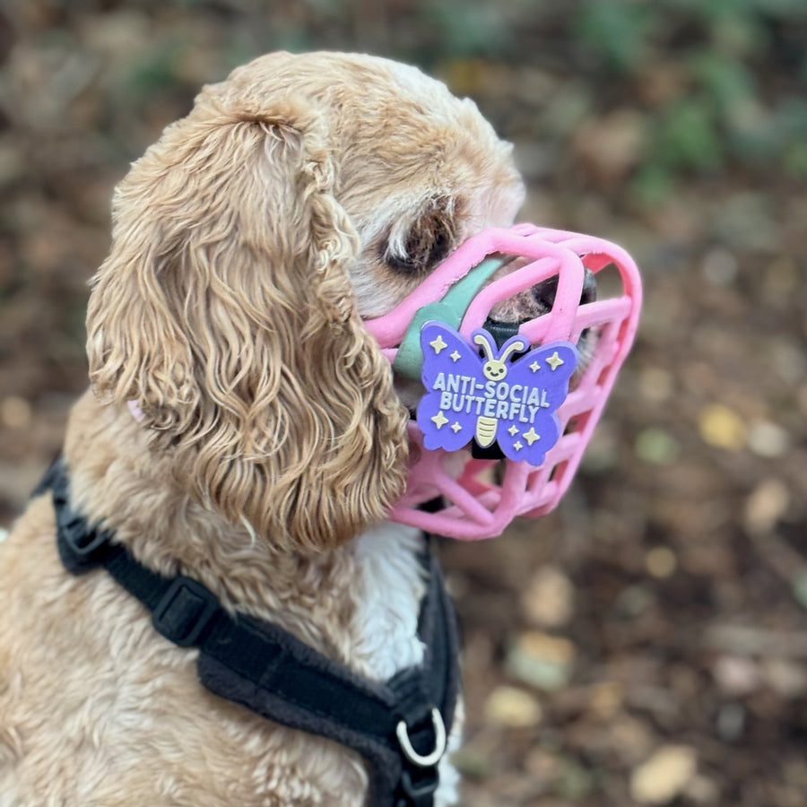 Snooties™ – Anti-Social Butterfly Muzzle Charm