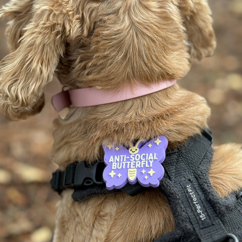 Snooties™ – Muzzle Charm