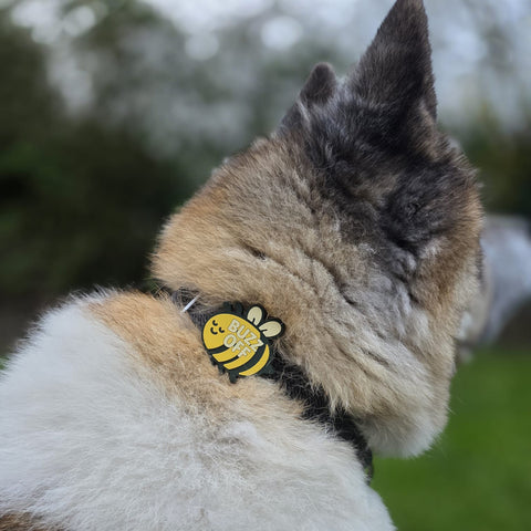 Snooties™ – Muzzle Charm