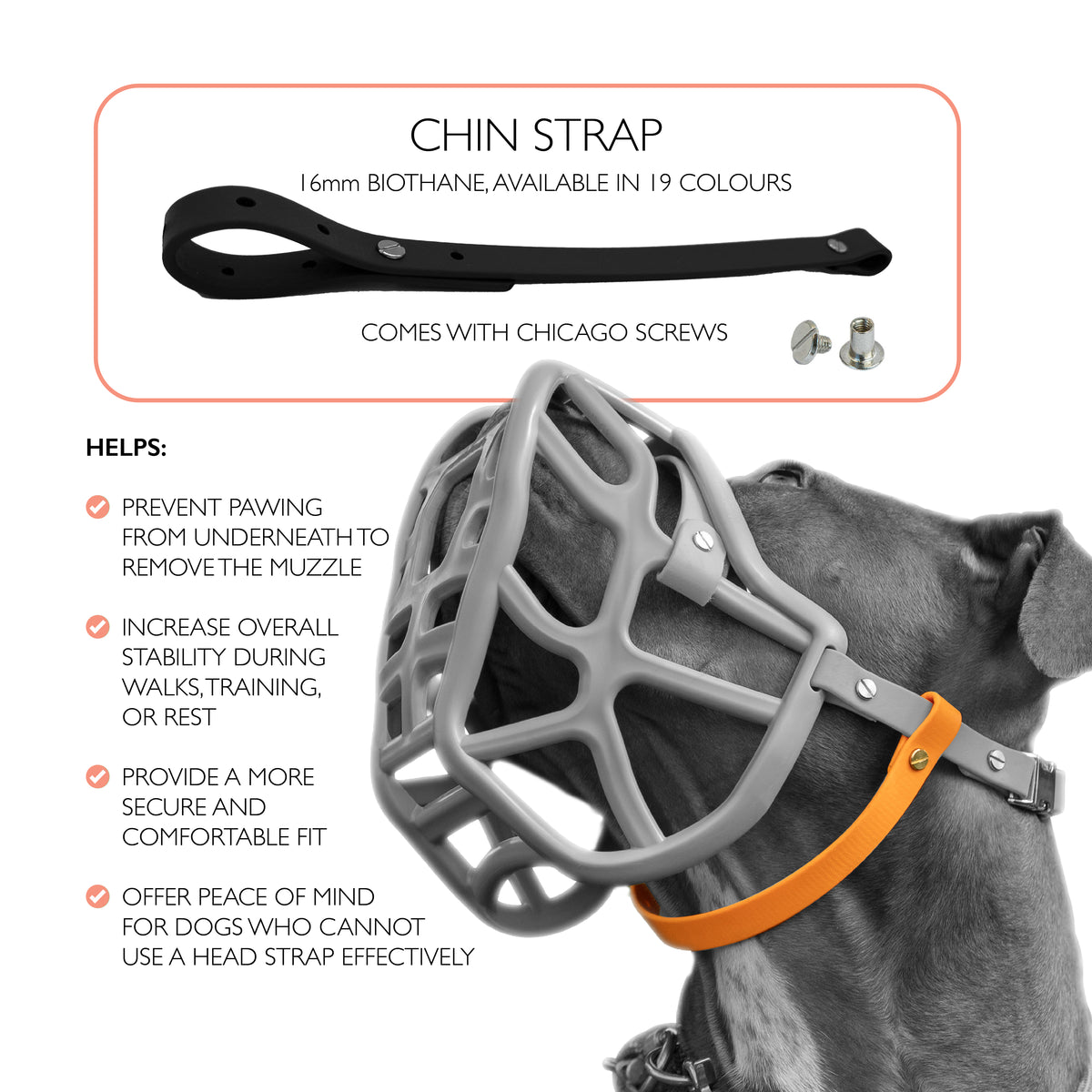 Chin Strap