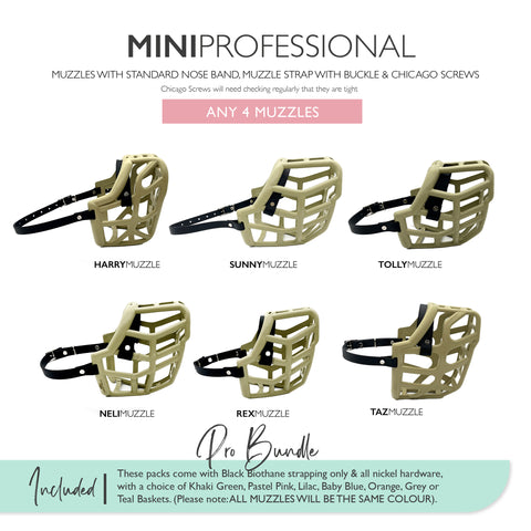MINI Canine Professional Size Bundle