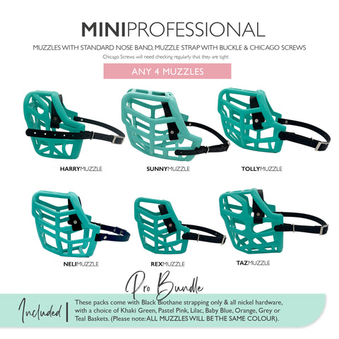 MINI Canine Professional Size Bundle