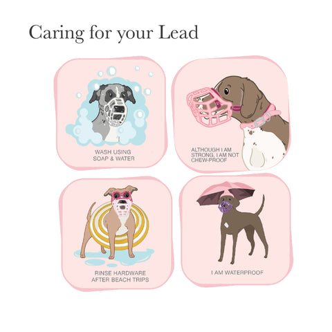 Biothane Long Line - Manche standard - pour le commerce