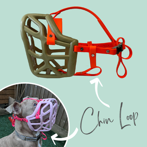 Muzzle stop and Chin loops bundle for Trade - Additional Safety Strapping for Muzzles