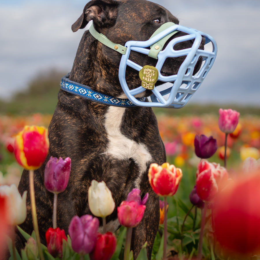 Snooties™ – Muzzle Charm